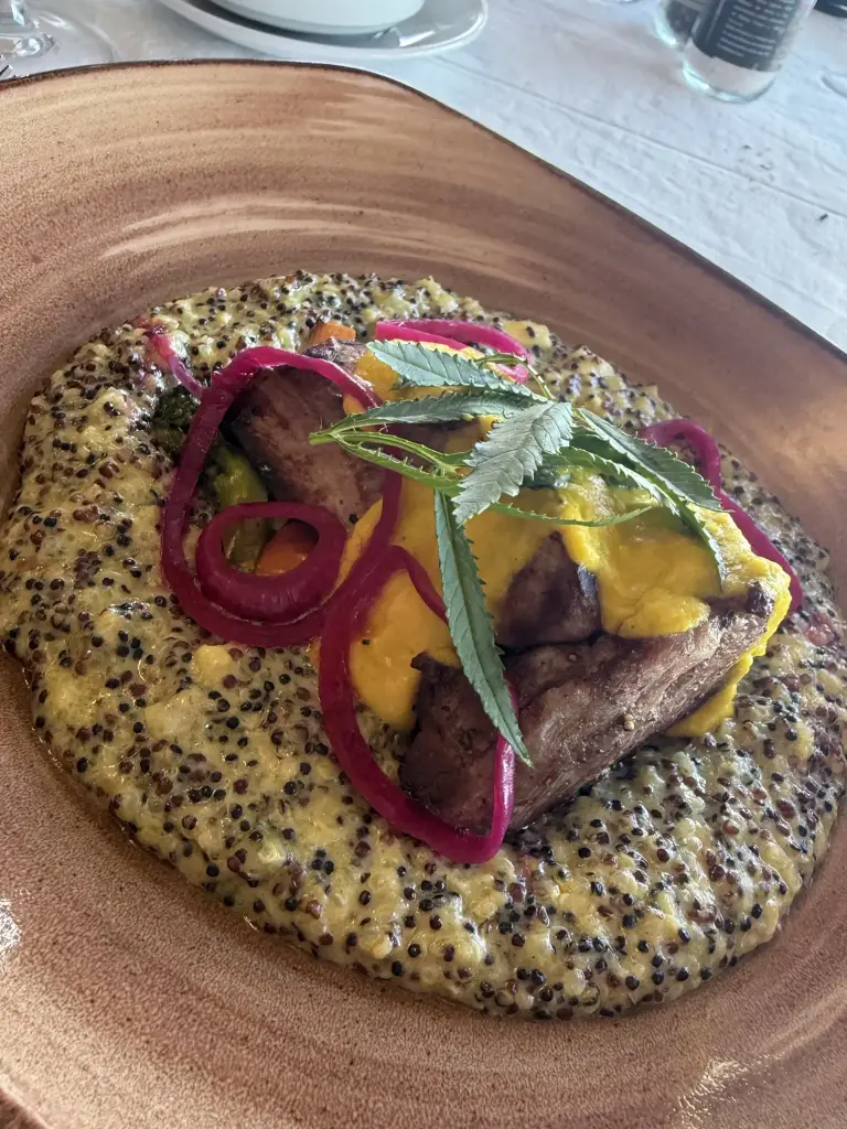 Peruvian gourmet dish with creamy quinoa, beef fillet, yellow sauce, and pickled onions, perfect to savor on a motorcycle trip through the Andes.